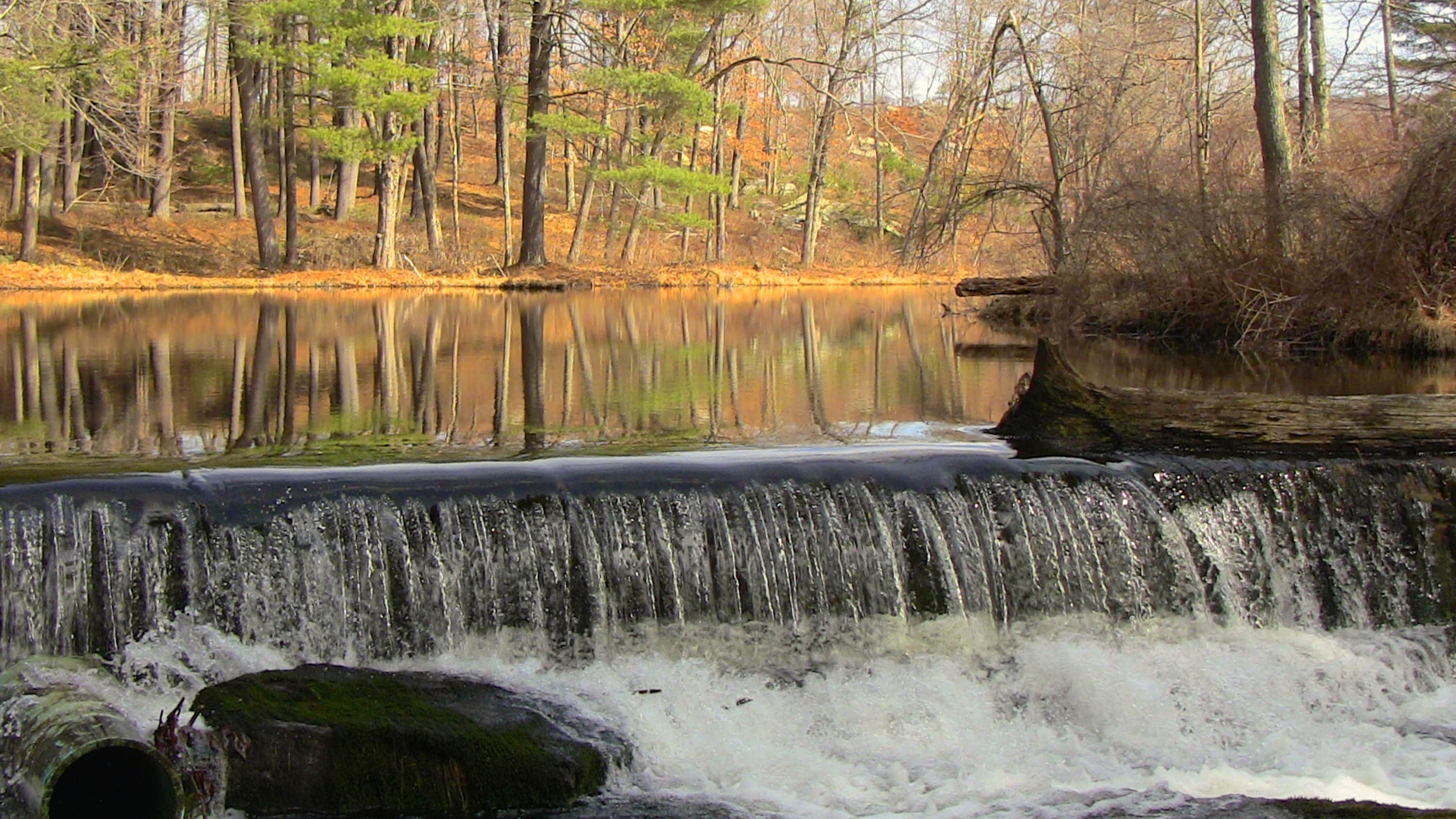 Bright Creek Falls