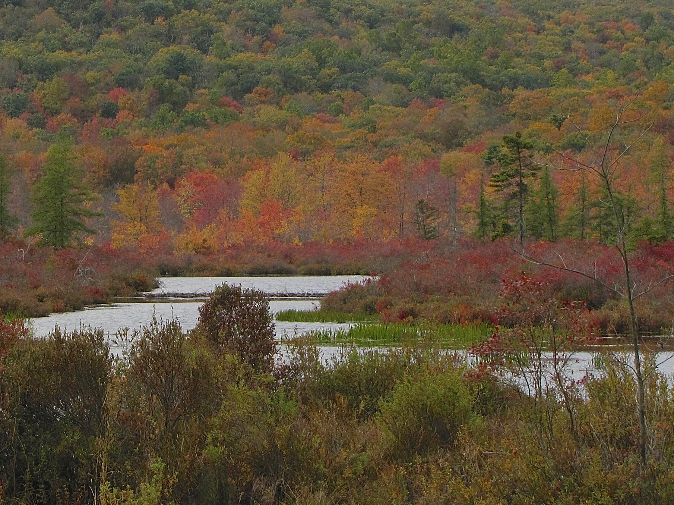 Bright Creek Falls