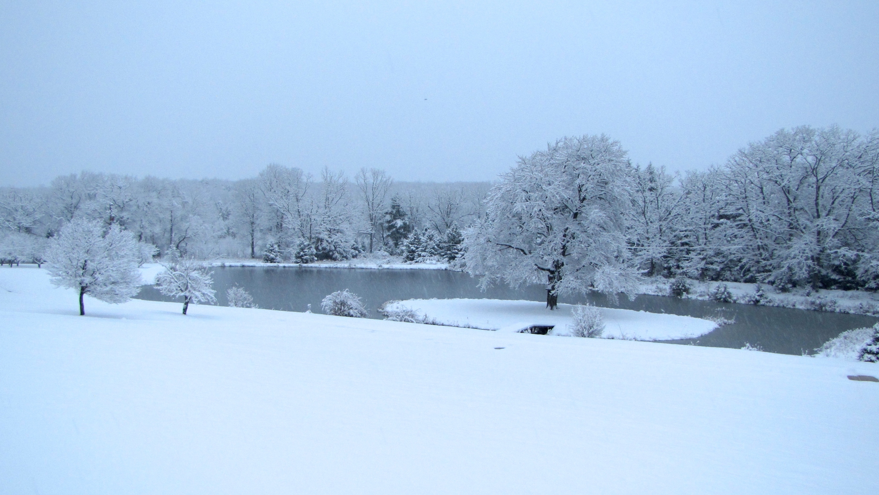 Bright Creek in Winter